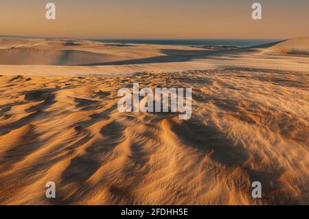 Die Gunyah Beach Dünen von Coffin Bay im letzten Licht des Tages. Stockfoto