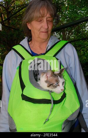 Eine Frau mit einer Katze in einem Katzenkorb Stockfoto