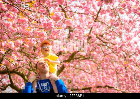 Birmingham, Großbritannien. April 2021. Dave Hadlington behandelt seine Tochter Harlow, 3, zu einem Spaziergang durch die hübsche rosa Blüte in seinem Park in Birmingham, Großbritannien. Die Wettervorhersage für das Wochenende ist gut und warm. Kredit: Peter Lopeman/Alamy Live Nachrichten Stockfoto