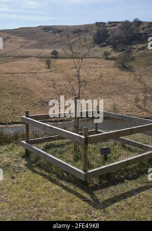 Elan Valley Trail mit Stauseen aus der viktorianischen Zeit und zweisprachigen Schildern In Walisisch/Englisch in Powys, Wales, Großbritannien Stockfoto