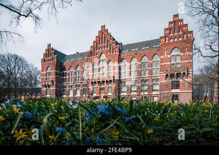 Die historische, rote Backsteinbibliothek der Lund Universität vor der Frühling blüht im Frühling in Lund Schweden Stockfoto