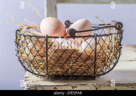 Gute Eier im Korb. Eier von einem Freilandbetrieb. Stockfoto