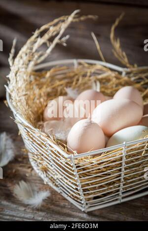Ich liebe Freilandeier vom Bauernhof. Bio-Eier aus freiem Bereich. Stockfoto