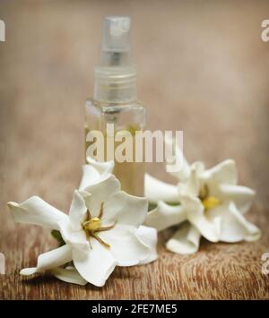 Gardenia oder Gondhoraj Blume und Essenz in einer Flasche Stockfoto