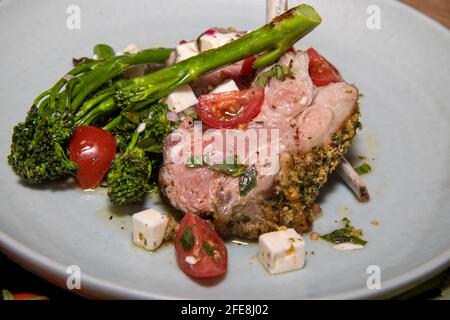 Ein köstlicher Teller mit Frühlingslammkoteletts mit Frühlingsgemüse Stockfoto