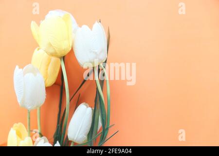 Hohe Winkel Ansicht der gelben und weißen Farbe Tulpenblume auf dem Tisch. Stockfoto