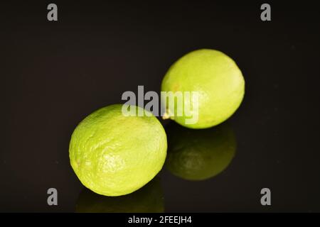 Zwei grüne reife Limetten, Nahaufnahme, auf schwarzem Hintergrund. Stockfoto