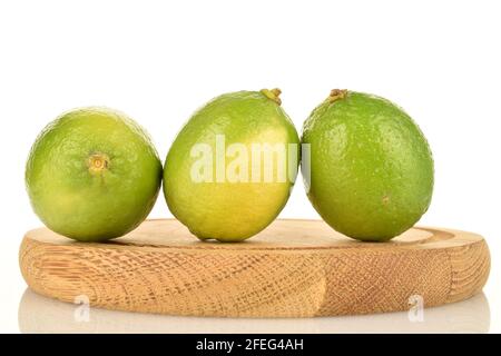 Drei leuchtend grüne, saure Limetten mit einem runden Tablett im Hintergrund. Der Hintergrund ist weiß. Stockfoto