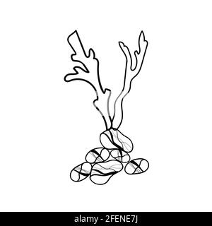 Vektor-Komposition von Korallen und Steinen Linie Kunst Stock Vektor