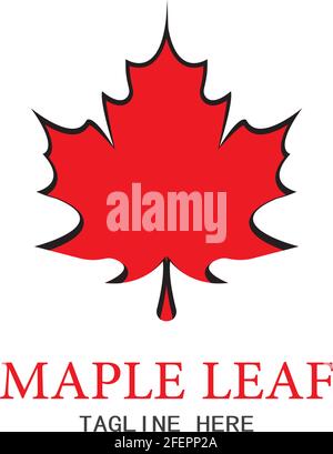 Maple Leaf Vector Illustration Design Template Stock Vektor