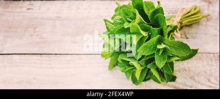 Frisches hausgemachtes Gemüse aus dem Garten. Selektiver Fokus.Natur Stockfoto