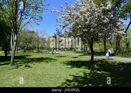 Wandern im Bute Park, Cardiff, Wales Stockfoto