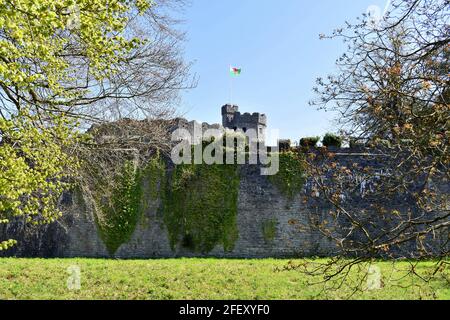 Blick durch die Bäume der Spitze des Cardiff Castle von außerhalb der Burgmauern im Bute Park, Cardiff, Wales Stockfoto