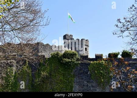 Blick auf die Spitze des Cardiff Castle halten von außerhalb der Burgmauern in Bute Park, Cardiff, Wales Stockfoto