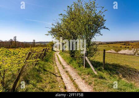 Der Weg des Monarchen, der nach Westen zum Dorf Findon führt - South Downs National Park, West Sussex, Großbritannien. Stockfoto