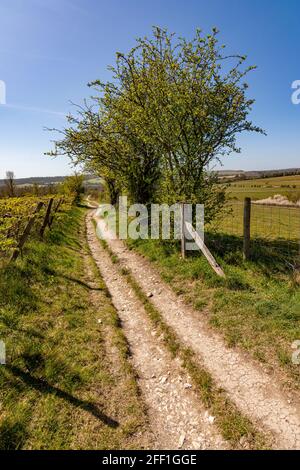 Der Weg des Monarchen, der nach Westen zum Dorf Findon führt - South Downs National Park, West Sussex, Großbritannien. Stockfoto