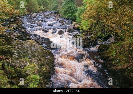 A3 hat ein feuchtes herbstliches HDR-Bild der Gewässer von Minnoch in Glen Trool, Galloway Forest Park, Dumfries und Galloway, Schottland, aufgenommen. 27. September 2012 Stockfoto