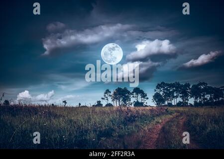 Landschaft von dunklen Nachthimmel mit Wolken. Schöne helle Vollmond über Wildnis Bereich im Wald, Country-Straße durch Felder der Landschaft bei Stockfoto