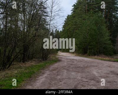 Leere Waldstraße mit Traktorwagen Reifen Spuren und grüne Natur rund um. Wald und Natur. Stockfoto