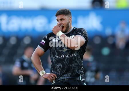 Swansea, Großbritannien. April 2021. Ethan Roots of the Ospreys schaut auf. Guinness Pro14 Rainbow Cup Spiel, Ospreys gegen Cardiff Blues im Liberty Stadium in Swansea, South Wales am Samstag, 24. April 2021. Bild von Andrew Orchard/Andrew Orchard Sports Photography/Alamy Live News Kredit: Andrew Orchard Sports Photography/Alamy Live News Stockfoto