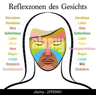 Gesichtsreflexzonendiagramm, deutscher Text, weibliches Gesicht. Akupressur und Physiotherapie Gesundheit Behandlung. Massagetabelle mit farbigen Bereichen und Namen. Stockfoto