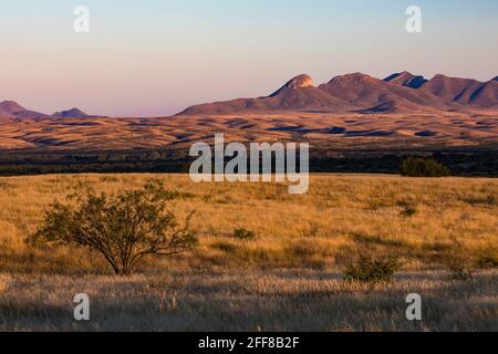 Am späten Nachmittag segnet die Empire Ranch und das Las Cienegas National Conservation Area in Arizona, USA Stockfoto