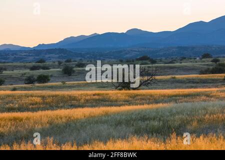 Am späten Nachmittag segnet die Empire Ranch und das Las Cienegas National Conservation Area in Arizona, USA Stockfoto