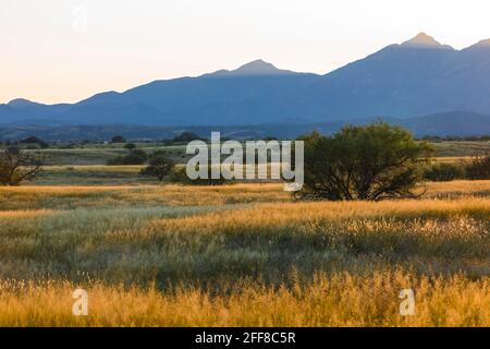 Am späten Nachmittag segnet die Empire Ranch und das Las Cienegas National Conservation Area in Arizona, USA Stockfoto