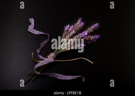 Bouquet von Lavendelblüten mit cremefarbenen Seil und lila Band gebunden. Alles auf schwarzem Hintergrund Stockfoto