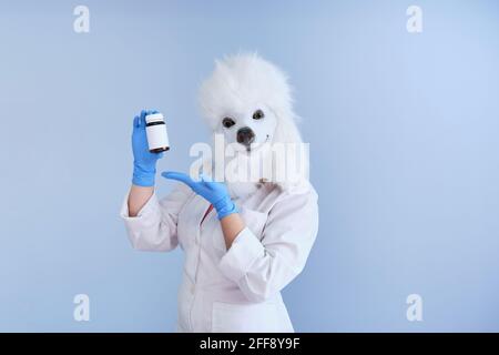 Junge Frau in einer Latex Hundekopfmaske und weißem Mantel mit einer Pillenflasche auf blauem Hintergrund. Arzt medizinische veterinärmedizinische Konzepte. Stockfoto