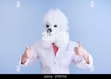 Junge Frau in einer Latex Hundekopfmaske und weißem Mantel, die gute Hand Zeichen auf einem blauen Hintergrund macht. Arzt medizinische veterinärmedizinische Konzepte. Stockfoto