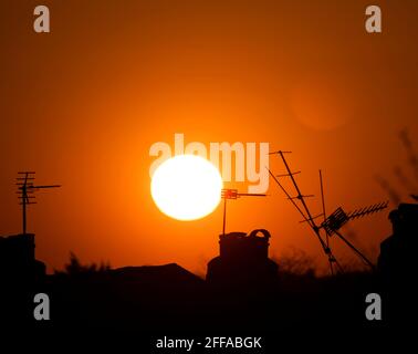 Wimbledon, London, Großbritannien. 24. April 2021. Eine klare und helle Abendsonne untergeht am orangefarbenen Himmel hinter einem Wirrwarr von Fernsehantennen auf dem Dach in den Londoner Vororten. Quelle: Malcolm Park/Alamy Live News. Stockfoto