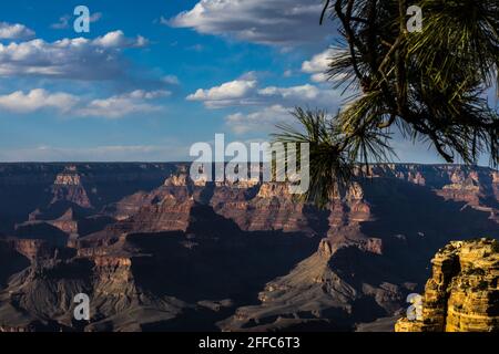 Der Grand Canyon Stockfoto