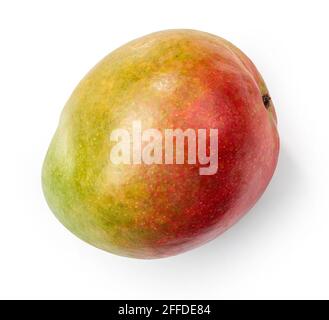 Frische, rohe Mangofrucht isoliert auf weißem Hintergrund, Draufsicht Stockfoto