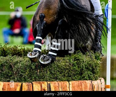 Lexington, KY, USA. April 2021. 24. April 2021: Tim Price tritt in der Cross Country Phase des 5-Tage-Events Land Rover 3* an Bord von Bango im Kentucky Horse Park in Lexington, Kentucky, an. Scott Serio/Eclipse Sportswire/CSM/Alamy Live News Stockfoto