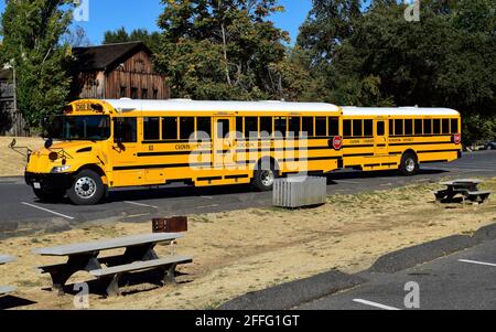 Schulbusse vom Clovis Unified School District in einem Park In Kalifornien Stockfoto