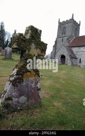 DIE KIRCHE AUS DEM 13. JAHRHUNDERT ST. PETER AD VINCULA IM DORF TOLLARD ROYAL, MADONNA'S DORFHAUS. PIC MIKE WALKER, 2002 Stockfoto