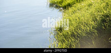 Wunderschöne Aussicht auf die ruhige Wasseroberfläche des Flusses. An einem sonnigen Tag verschmilzt Gras mit dem Wasser Stockfoto