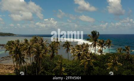 Küsteninsel mit Palmen und Strand bei Ebbe. Blaues Meer und Wellen. Siargao, Philippinen. Stockfoto