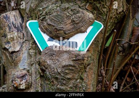 Ein deutsches Zeichen für das Naturschutzgebiet ist fast vollständig aus einem Baum eingewachsen. Hochwertige Fotos Stockfoto