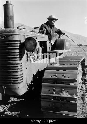 Benji Iguchi Driving Tractor, Manzanar Relocation Center, California, USA, Ansel Adams, Manzanar War Relocation Center Collection, 1943 Stockfoto