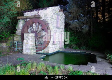 Der Hesco Garden 2011, der auf der Chelsea Flower Show eine Goldmedaille gewann. Es ist jetzt ein Hauptmerkmal in den Specialist Gardens in Roundhay in Leeds. Stockfoto