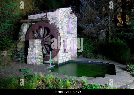 Der Hesco Garden 2011, der auf der Chelsea Flower Show eine Goldmedaille gewann. Es ist jetzt ein Hauptmerkmal in den Specialist Gardens in Roundhay in Leeds. Stockfoto