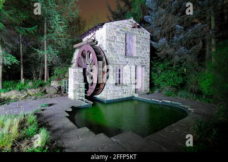 Der Hesco Garden 2011, der auf der Chelsea Flower Show eine Goldmedaille gewann. Es ist jetzt ein Hauptmerkmal in den Specialist Gardens in Roundhay in Leeds. Stockfoto