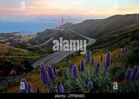 Golden Gate Bridge, San Francisco, USA Stockfoto