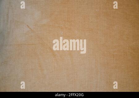 Senfgelb Herbst Makro Abstrakter Hintergrund Stockfoto