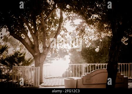 Lookout to Colorado River Stockfoto