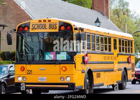 Easton, MD, USA 04-16-2021: Ein gelber Thomas School-Bus, der vom Talbot County Public School District in Maryland betrieben wird, ist nach der Schulabfahrt unterwegs Stockfoto