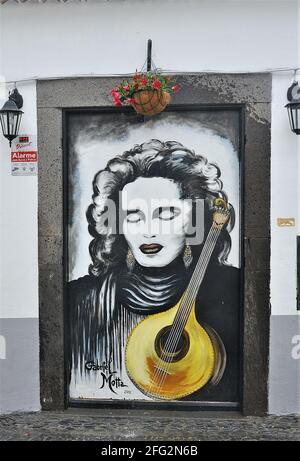 Wandbilder als Teil der Kunst der offenen Türen Projekt in der Zona Velha (Altstadt) Fläche von Funchal, Madeira lackiert Stockfoto