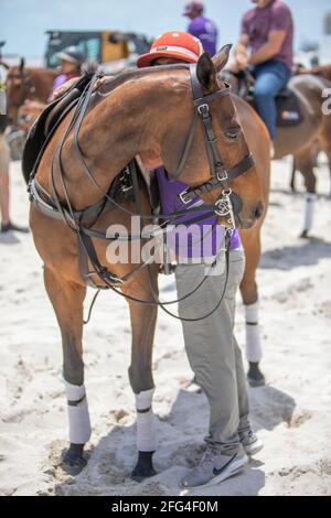 Polo-Spieler spielen am 24. April 2021 beim World Polo League Beach Polo in Miami Beach, FL Stockfoto